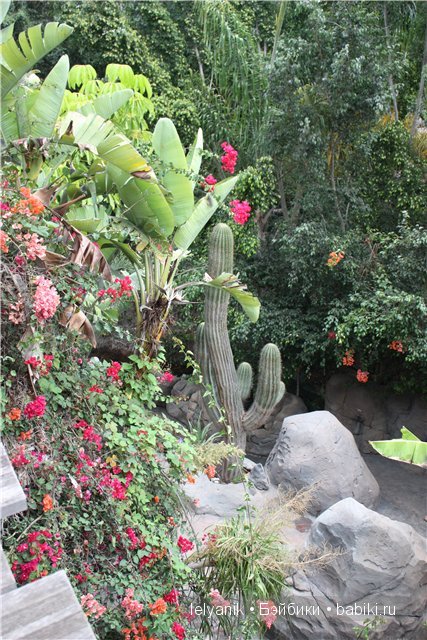 Испания островная — Туризм и путешествия: фотоотчеты из поездок (фото 3)