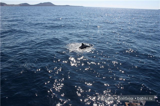 Испания островная — Туризм и путешествия: фотоотчеты из поездок