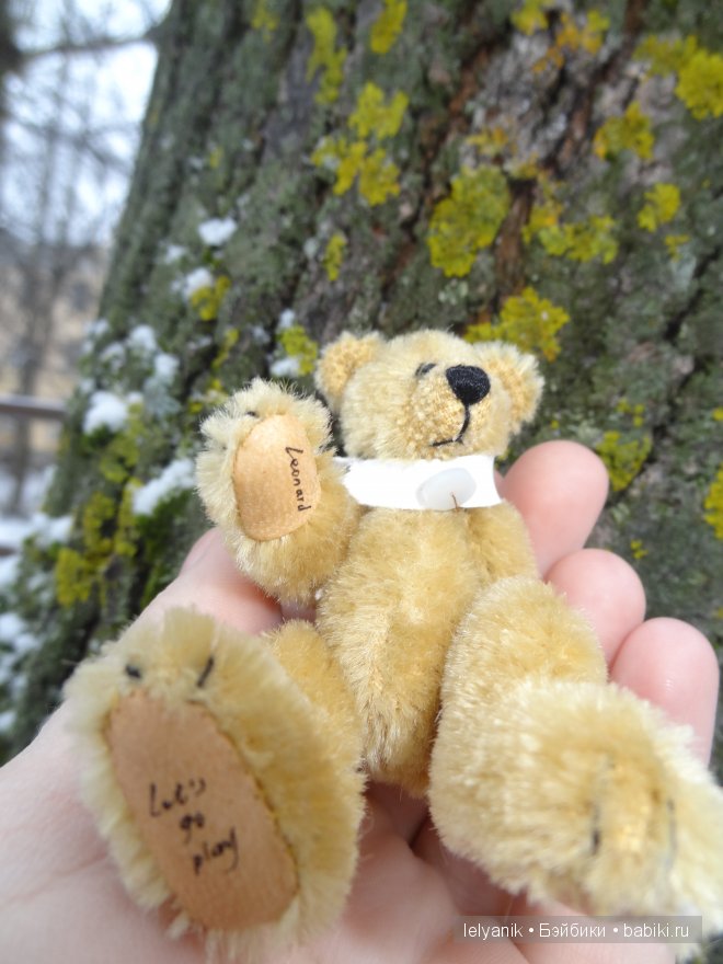 Мишка на севере — Болталка и разговоры обо всем: жизнь (фото 3)