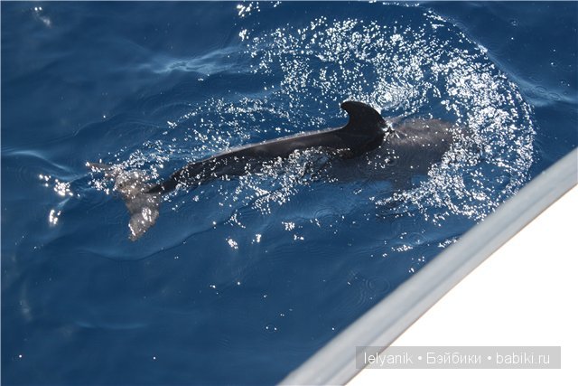 Испания островная — Туризм и путешествия: фотоотчеты из поездок