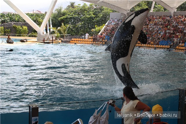 Испания островная — Туризм и путешествия: фотоотчеты из поездок (фото 6)
