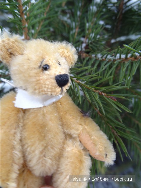 Мишка на севере — Болталка и разговоры обо всем: жизнь (фото 8)