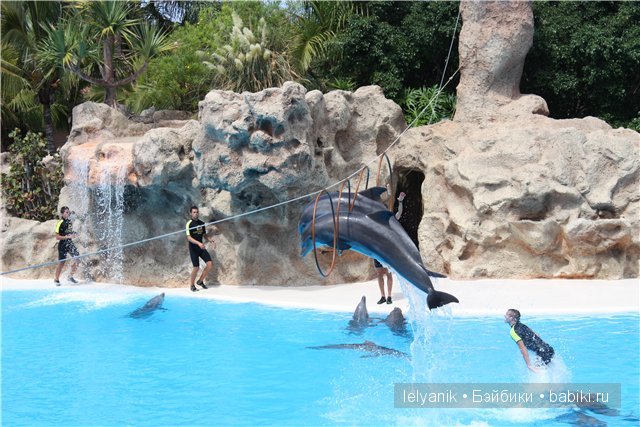 Испания островная — Туризм и путешествия: фотоотчеты из поездок (фото 8)