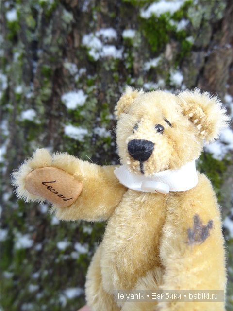 Мишка на севере — Болталка и разговоры обо всем: жизнь