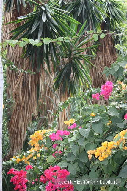 Испания островная — Туризм и путешествия: фотоотчеты из поездок