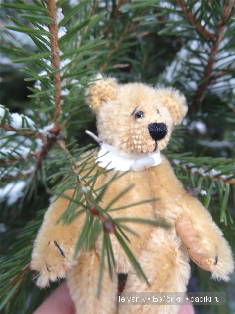 Мишка на севере — Болталка и разговоры обо всем: жизнь (фото 10)