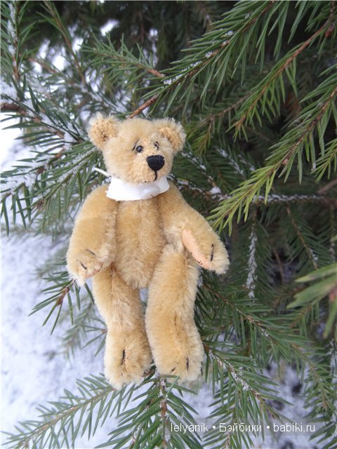 Мишка на севере — Болталка и разговоры обо всем: жизнь (фото 7)