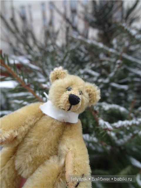 Мишка на севере — Болталка и разговоры обо всем: жизнь (фото 5)