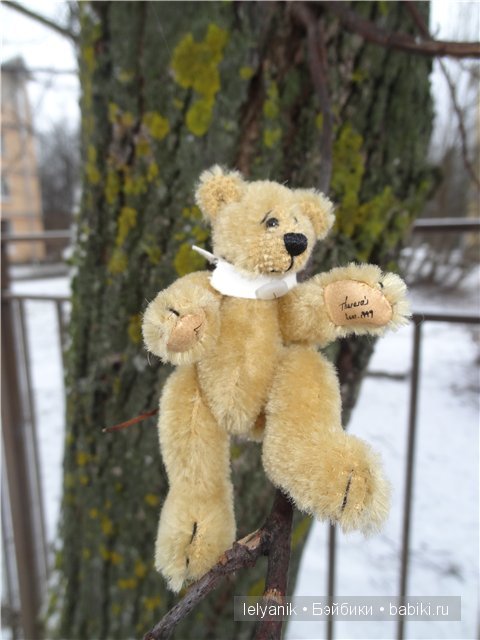 Мишка на севере — Болталка и разговоры обо всем: жизнь (фото 4)