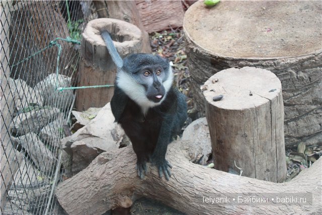 Испания островная — Туризм и путешествия: фотоотчеты из поездок