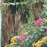 Испания островная