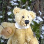 Мишка на севере