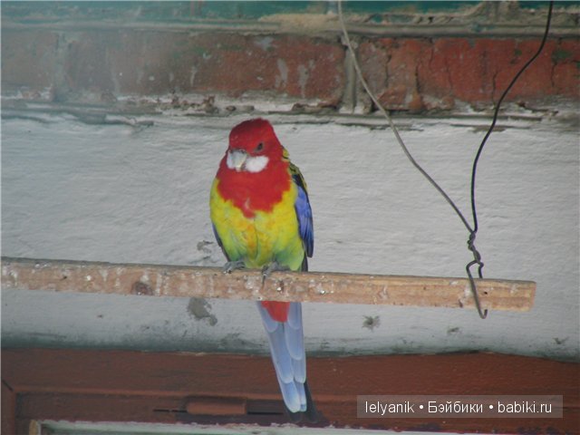 Отдых в любимых местах — Туризм и путешествия: фотоотчеты из поездок (фото 3)