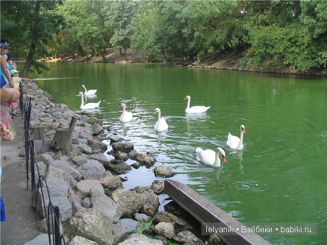 Отдых в любимых местах — Туризм и путешествия: фотоотчеты из поездок (фото 7)