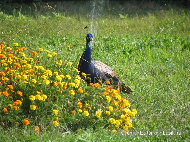 Отдых в любимых местах — Туризм и путешествия: фотоотчеты из поездок