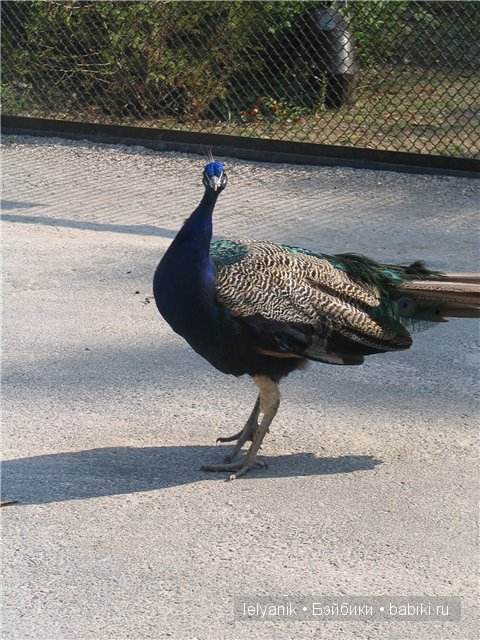 Отдых в любимых местах — Туризм и путешествия: фотоотчеты из поездок (фото 4)