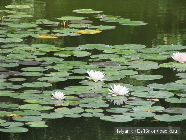 Отдых в любимых местах — Туризм и путешествия: фотоотчеты из поездок (фото 9)