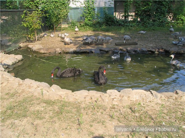 Отдых в любимых местах — Туризм и путешествия: фотоотчеты из поездок (фото 6)