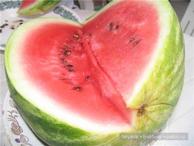 Отдых в любимых местах — Туризм и путешествия: фотоотчеты из поездок