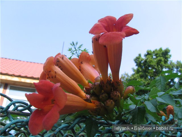 Отдых в любимых местах — Туризм и путешествия: фотоотчеты из поездок (фото 2)