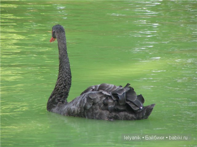 Отдых в любимых местах — Туризм и путешествия: фотоотчеты из поездок (фото 8)