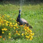 Отдых в любимых местах