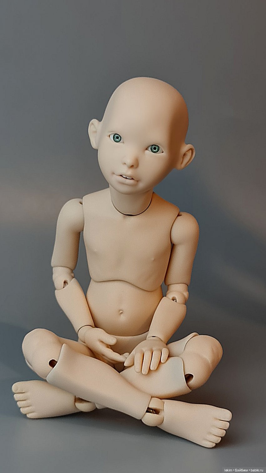 Авторские шарнирные куклы Елены Ким (lekim)