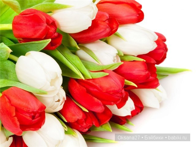 Шапочки и шарфики для кукол