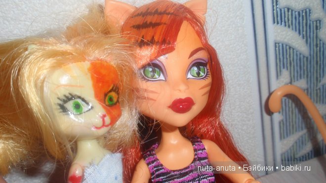 Тораляй Страйп coffin bean. Запоздалое новогоднее чудо