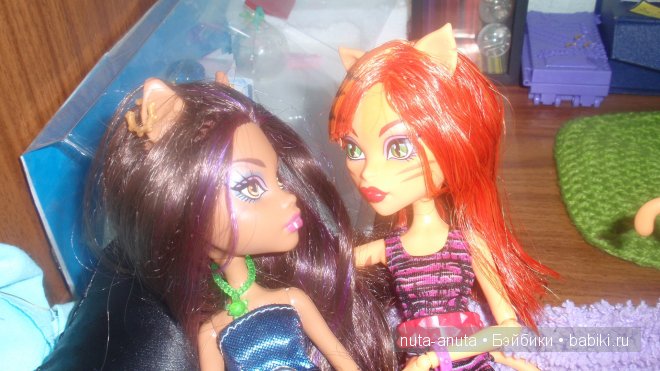 Тораляй Страйп coffin bean. Запоздалое новогоднее чудо