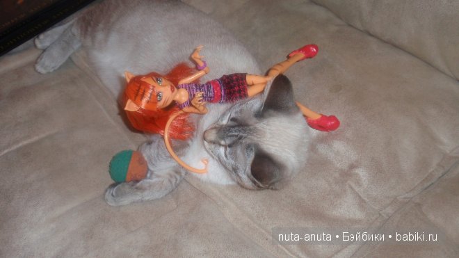 Тораляй Страйп coffin bean. Запоздалое новогоднее чудо