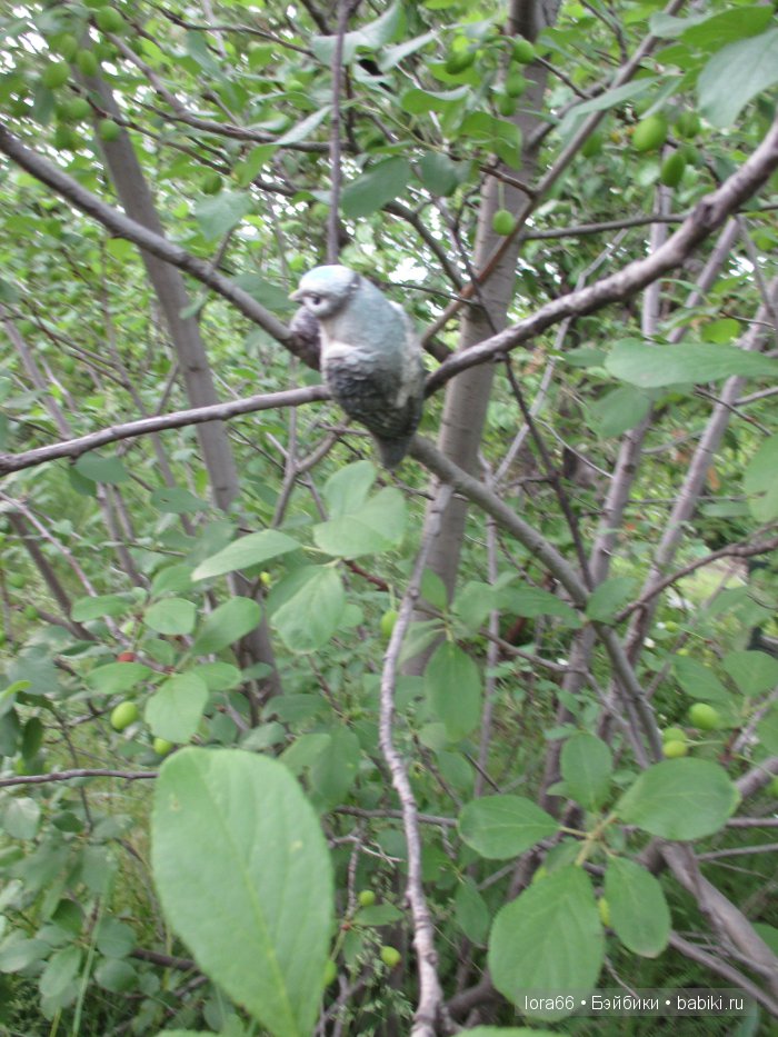 Отпуск-это просто лето | Бэйбики Отпуск-это просто лето — Болталка и разговоры обо всем: жизнь