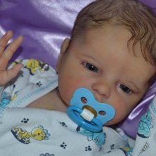 Мой любимка Аттикус