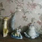 Кошки, кот