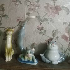 Кошки, кот