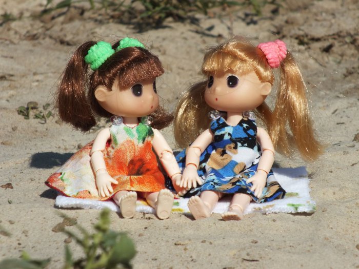 Чанька и Шанька