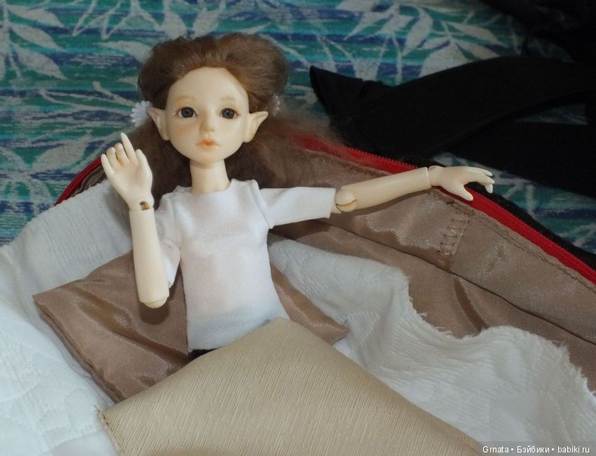 Рамия в переноске