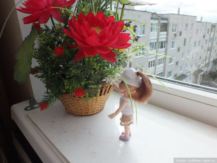 Обитсу гибрид, Чани