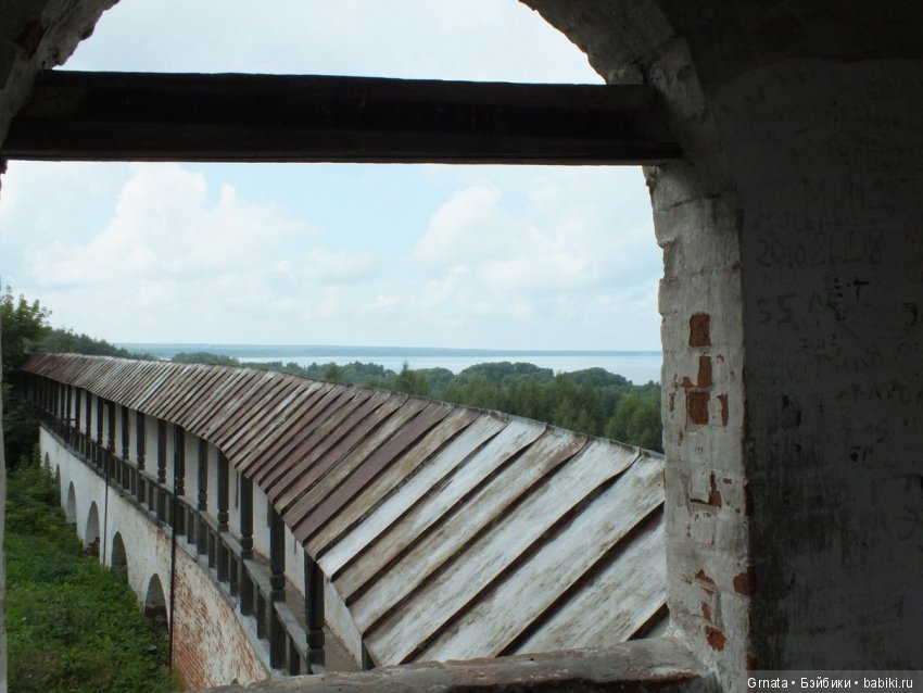 Обитсу гибрид, Чани