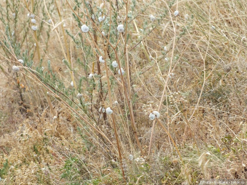 Ностальгия под Новый год... (много фото) (фото 3)