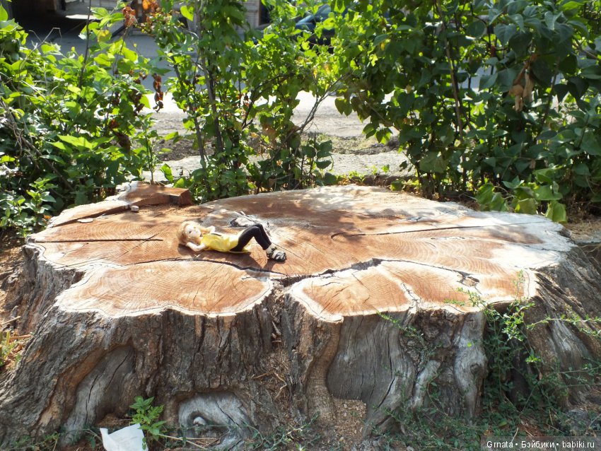 Ностальгия под Новый год... (много фото)