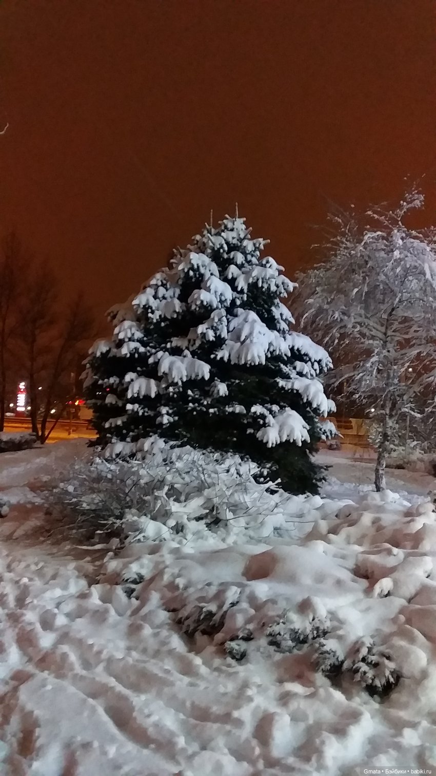 Триша милим