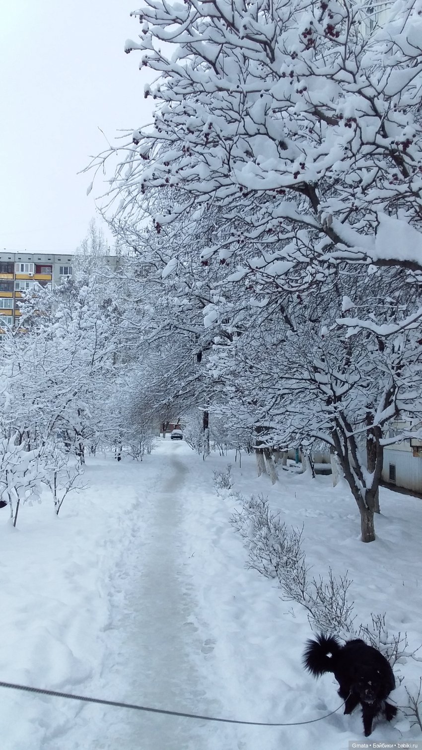 Триша милим