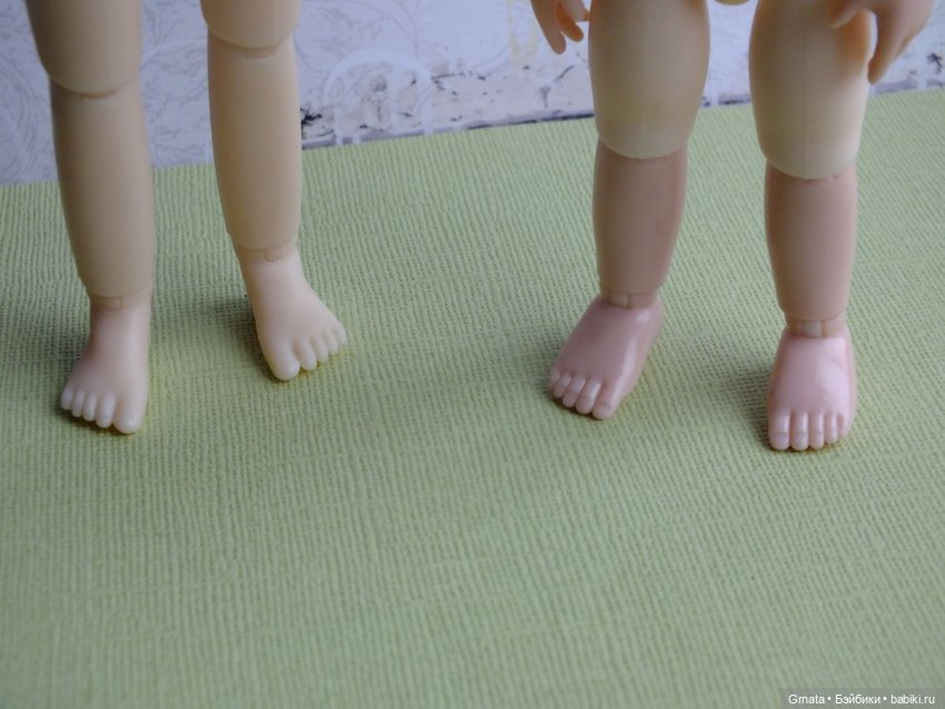 Варька, гибрид баболи