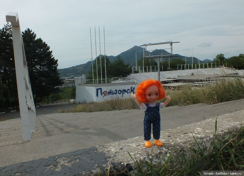 Варька, гибрид баболи