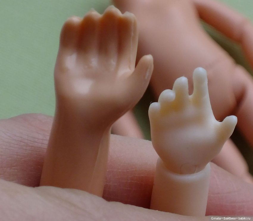 Варька, гибрид баболи