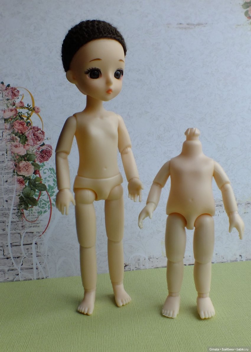 Варька, гибрид баболи