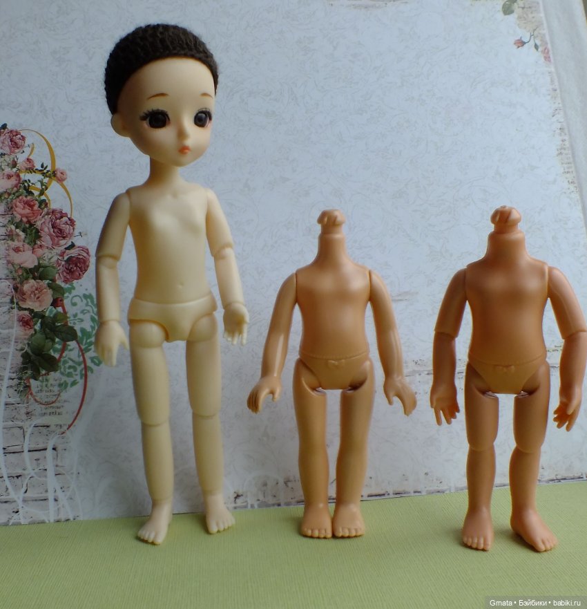 Варьки, гибрид баболи