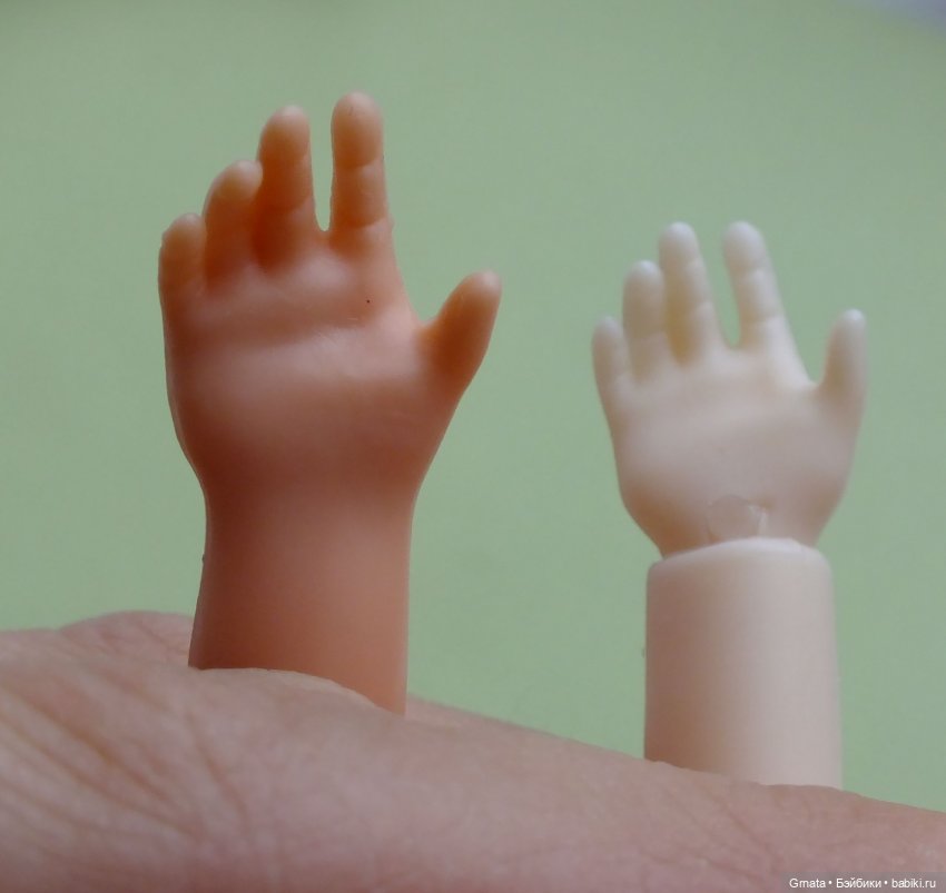 Варька, гибрид баболи