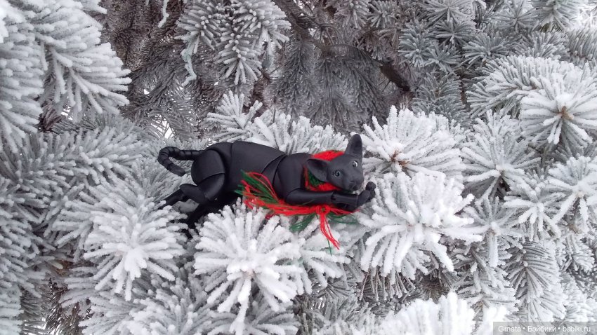 Из жизни кота-ориентала или приключения Ходи | Бэйбики Из жизни кота-ориентала или приключения Ходи (фото 2)